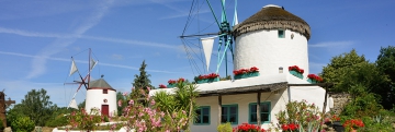 Südheide Gifhorn