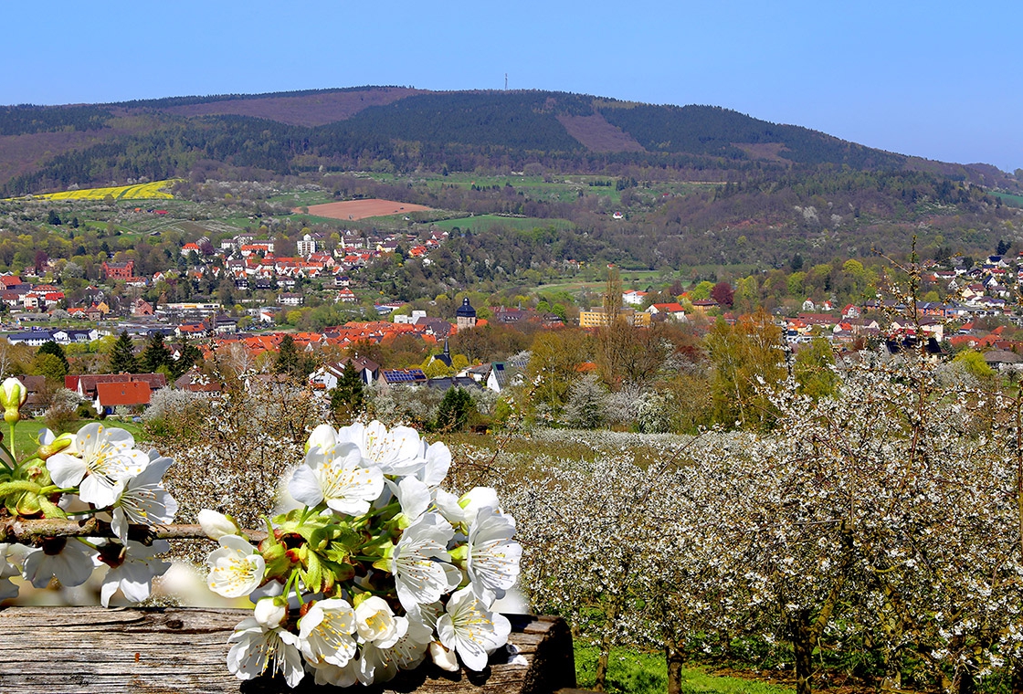 Kirschblüte in Witzenhausen 2021.