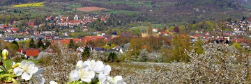 Kirschblüte in Witzenhausen 2021.