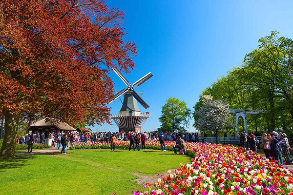 bluetenpracht_keukenhof.jpg